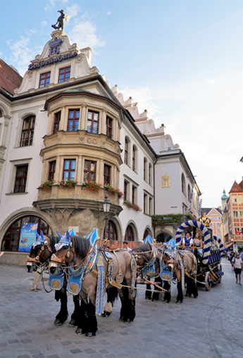 hofbraeuhaus-muenchen.jpg